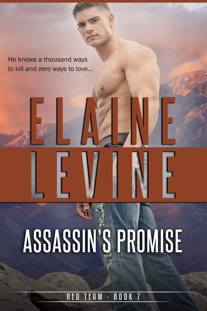 Assassin’s Promise