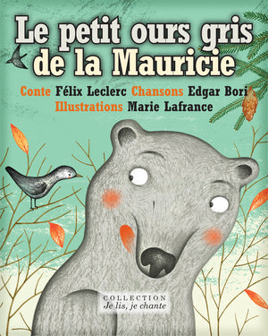 Le petit ours gris de la Mauricie